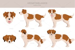 Kromfohrlander clipart Product Image 2