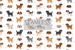 Pugalier Cavapug dog mix Product Image 6