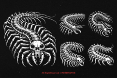 10 Bundle Dark Art Centipede Insects Gothic Skull Horror Product Image 3