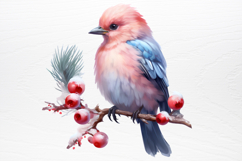 Chirstmas Birds Clipart PNG Product Image 2