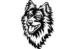 Pomeranian spitz/Dog Svg/Png/Jpg/Ai/Vector purebred breed Product Image 3
