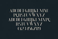 Momentus Modern Editorial Serif Font Product Image 2