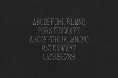 Arowen Organic Serif Font Product Image 2
