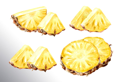 Tropical Pineapple Product Image 3