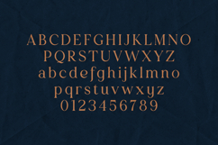 Creators Type Serif Font Elegant Soft Editorial Product Image 2