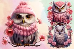 Christmas Owl Clipart Bundle, Christmas Owl Bundle Product Image 3