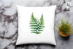 Watercolor Fern Leaves Clipart PNG Product Image 2
