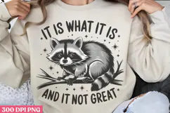 It is what it is. And is it not great PNG, Funny Raccoon Quo Product Image 1