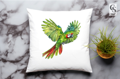 Colorful Parrot Bird Watercolor Clipart Sublimation PNG Product Image 2