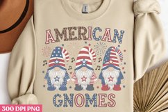American Gnomes PNG, 4th Of July Sublimation PNG Product Image 2