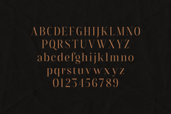 Flowrite Serif Font Elegant High-Contrast Product Image 2