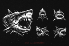 10 Bundle Dark Art Megalodon Fish Shark Ancient Animal Skull Product Image 3