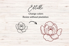 Hand Drawn Peony Bloom SVG Product Image 2