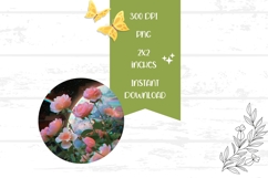 Pink Roses Round Earrings, Floral Round Earrings Template Product Image 2