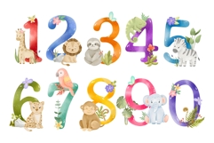 Jungle Animal Numbers Clipart PNG Product Image 3