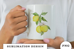 Watercolor Lemons composition png Product Image 2