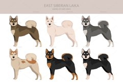 East-Siberian Laika clipart Product Image 3