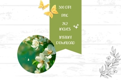 Floral Earrings PNG, White Flowers Round Earrings Design Product Image 2