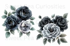 Flowers, Black, Ephemera, PNG, watercolor, Clipart Product Image 2