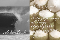 Camarali Script Font Product Image 2