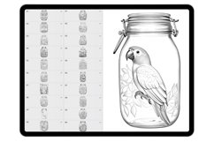 40 Wonder Life in Jar Procreate Stamp Brushes Product Image 6