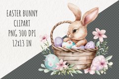Easter Bunny Clipart | Spring Clipart | Easter Sublimation Product Image 1