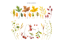 Fall Clipart, Patterns, Frames with Autumn Leaves Product Image 2