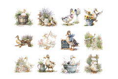 Watercolor Duck Clipart PNG Set Product Image 3