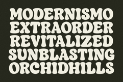 Cosmic Curl Font Product Image 3