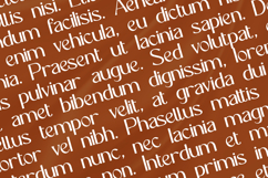 ZADOBESY Elegant Sans Serif Product Image 2