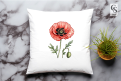 Watercolor Poppy Flower Clipart Sublimation PNG Product Image 3