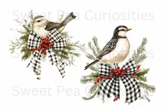 Christmas, Birds, Ephemera, PNG, watercolor, Clipart Product Image 2