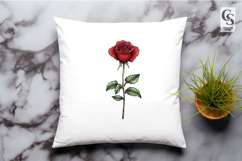 Classic Red Rose Botanical Clipart Sublimation PNG Product Image 3