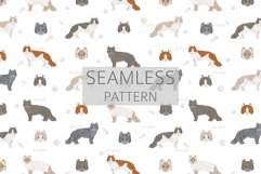 American Curl Cat clipart Product Image 6