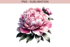 Pink peonies png design for T-shirts Product Image 2