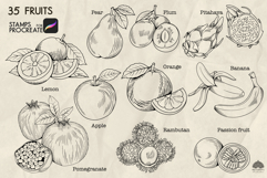 Fruits Procreate Stamp Brushes Product Image 2