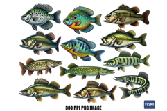 Freshwater Fish PNG Bundle Product Image 2