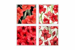 Watercolor Red Amaryllis Flower Digital Papers Product Image 2
