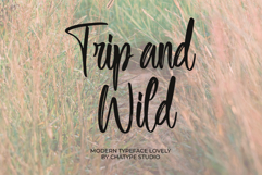 Sofewely Product Image 2