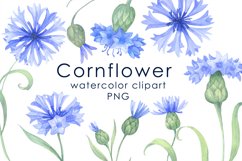 Watercolor blue cornflowers Clipart Product Image 1