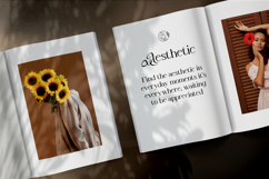 Astera Casty - Luxury Serif Font Product Image 2