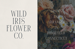 Elantrae Elegant Modern Serif Font Product Image 2