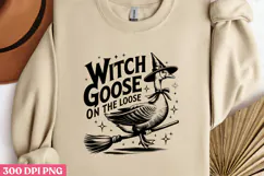 WITCH GOOSE ON THE LOOSE PNG, Vintage Silly Goose Sublimatio Product Image 1