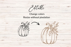 Hand Drawn Floral Pumpkin SVG Product Image 2