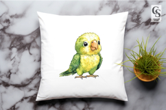 Cute Baby Parrot Watercolor Clipart Sublimation PNG Product Image 3