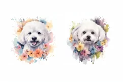 Cute bichon Watercolor cliparts | Cute dogs Illustrations Product Image 2