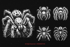 10 Bundle Dark Art Spider Skull Web Horror Tarantula Gothic Product Image 3