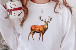 Vintage Christmas Clipart Sublimation, Christmas Clipart Product Image 2