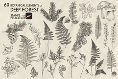 Botanical forest Procreate stamp brushes Product Image 2