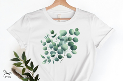 Eucalyptus clipart Product Image 2
